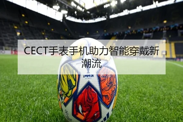 CECT手表手机助力智能穿戴新潮流