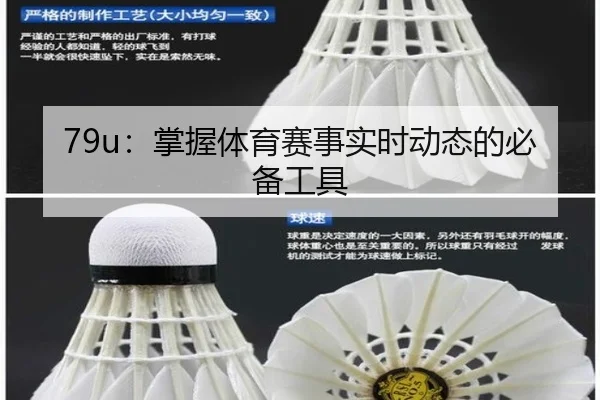 79u：掌握体育赛事实时动态的必备工具