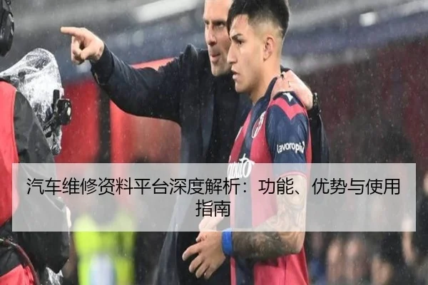 汽车维修资料平台深度解析：功能、优势与使用指南