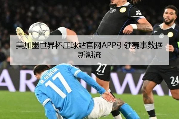 美加墨世界杯压球站官网APP引领赛事数据新潮流